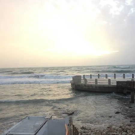 Merlino 3* אבולה